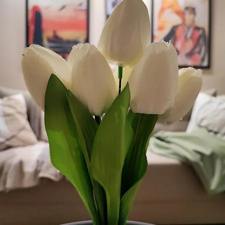 Corto Apartamento Kraljevo